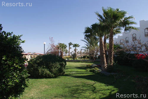 Arabia Beach Resort 14